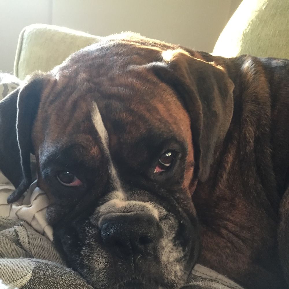 Meet your Posher, Tricia